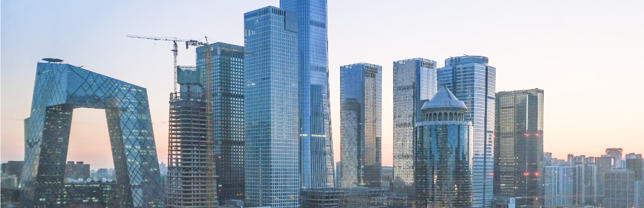 Chinese Roots, International Reach