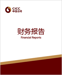 CICC 2020 Annual Report (PRC)
